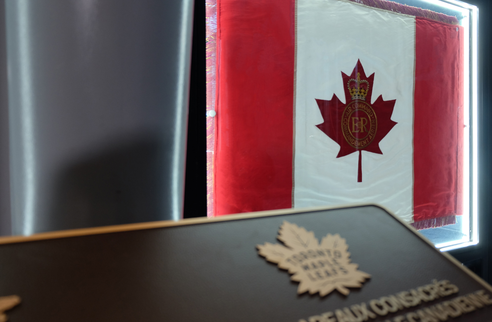 00-Thumbnail_MLSE-RCAFdisplay
