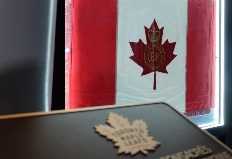 04-MLSE-RCAFdisplay