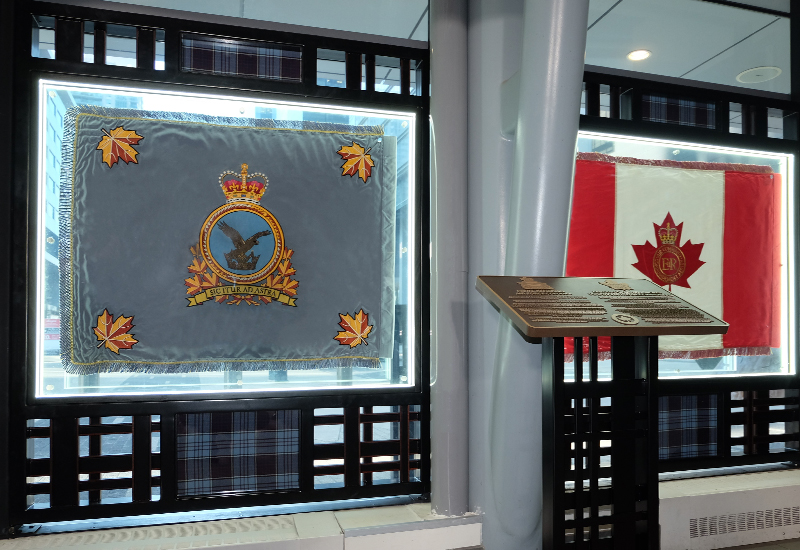 05-MLSE-RCAFdisplay